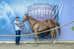 IX GP Fortaleza (17)