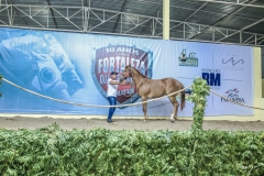 IX GP Fortaleza (18)