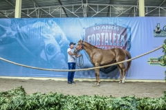IX GP Fortaleza (19)