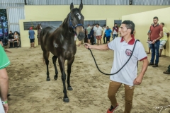 IX GP Fortaleza
