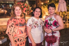 Flávia Bessa, Tereza Cristina e Vanizia do Carmo
