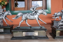 Haras Primavera