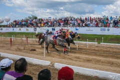 Haras Primavera