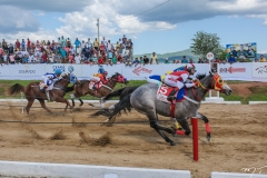 Haras Primavera