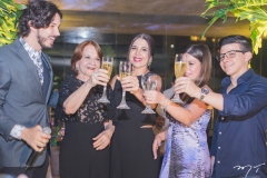 Ano 30 de Lenita Negrão