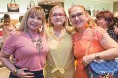 Celina Porto, Regina Fiuza e Ana Fiuza