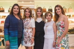 Luiza Barcelos, Maira Silva, Fernanda Barcelos, Tane Albuquerque e Lara Silva