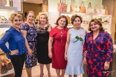 Wanda Sá, Fátima Goulart, Wilma Patricio, Auricélia Queirós, Tane Albuquerque e Maria Vital
