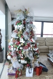 Natal de Morgana Dias Branco