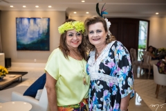Carmen Cinira e Janice Machado