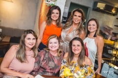 Mônica Miranda, Cristine Feitosa, Gladys Tamietti, Alexandra Pinto, Cristina Batista e Vera Passos