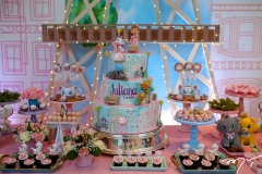 Niver Juliana (4)
