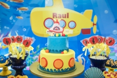 Niver de Raul Amaral