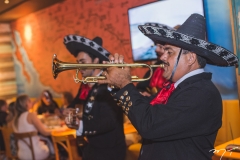 Noite dos Mariachis no La Frontera