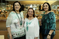 Rosélia Coelho, Conceição Almeida e Leila Coelho