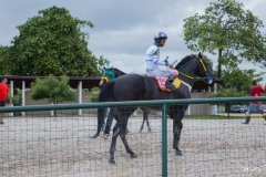 VIII GP Fortaleza Quarter Horse Show