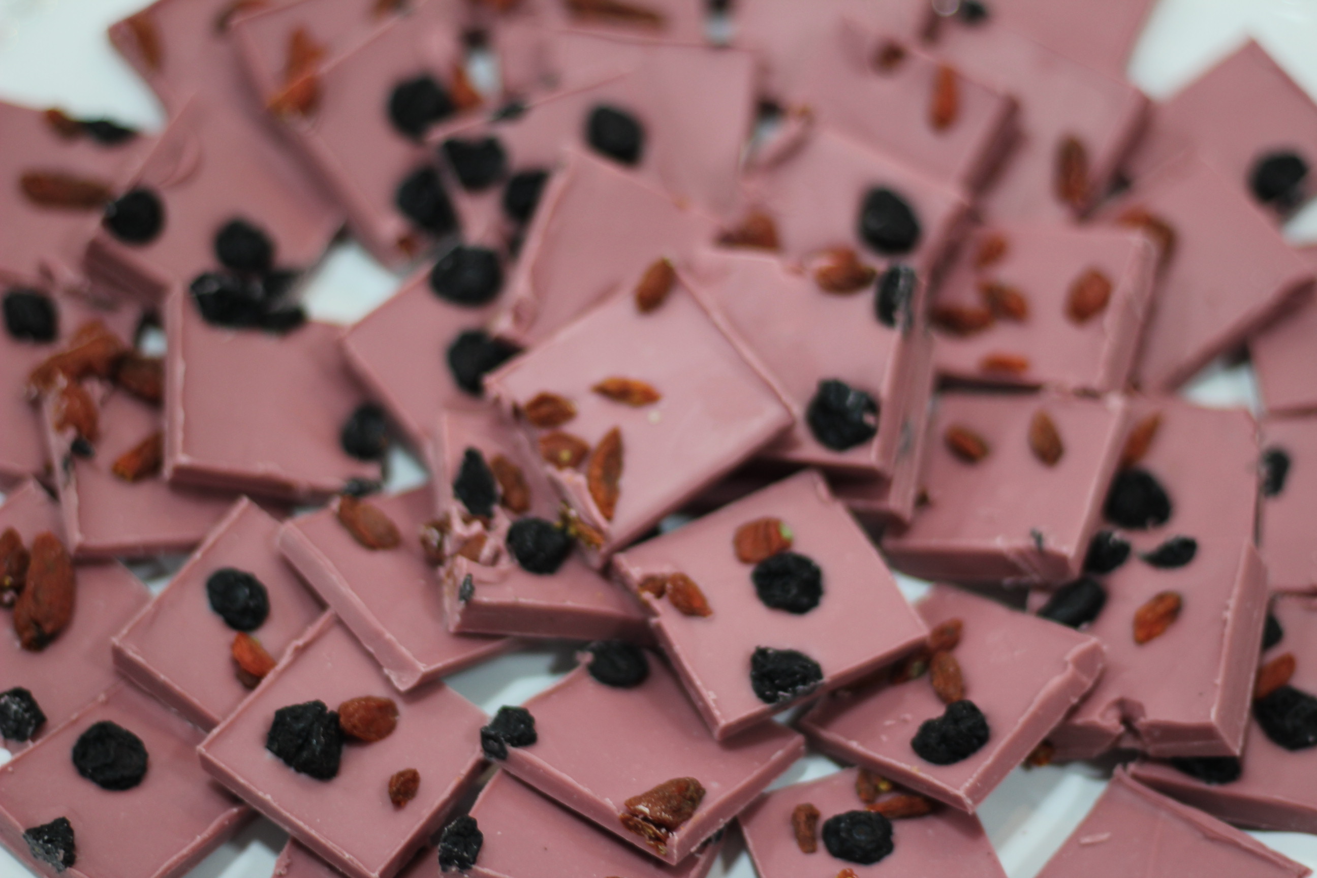 Chefs e empresários experimentam o inédito Chocolate Ruby em Fortaleza