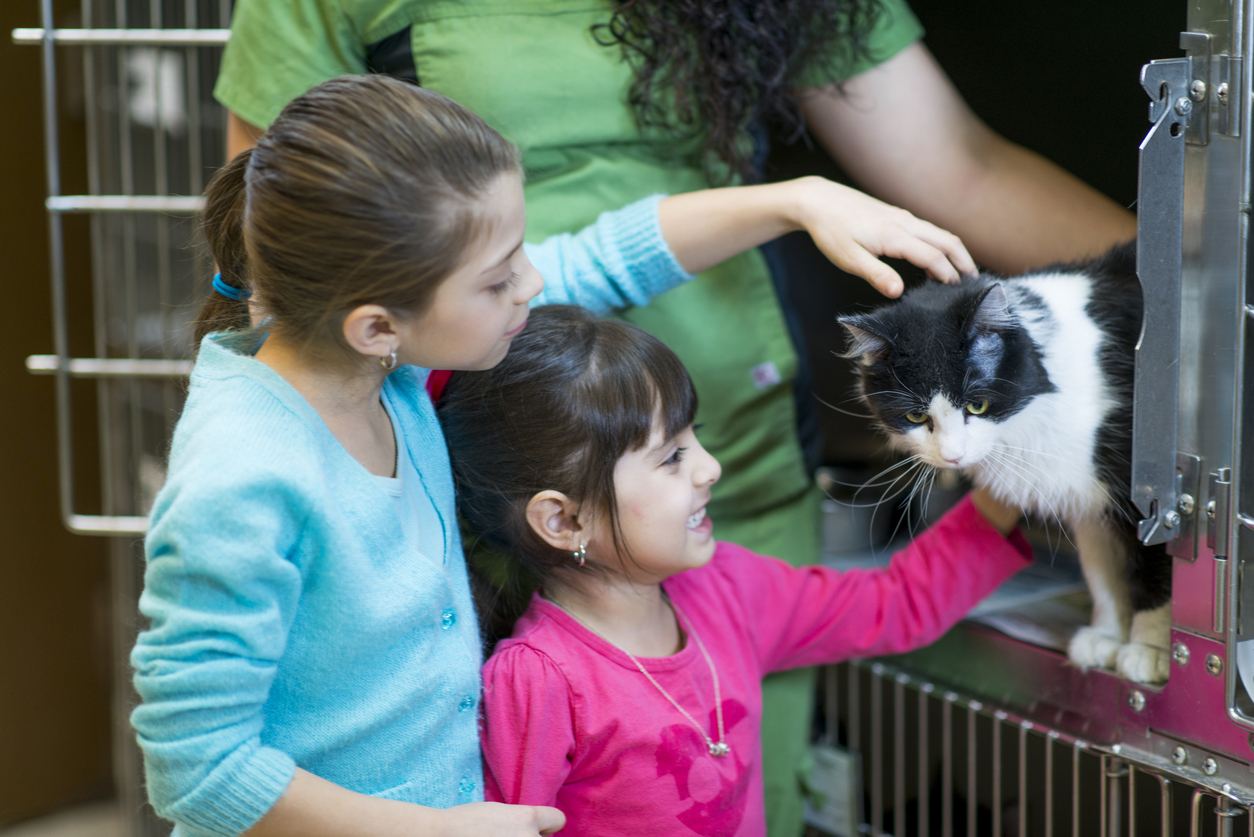 Shopping Benfica promove evento de adoção de pets
