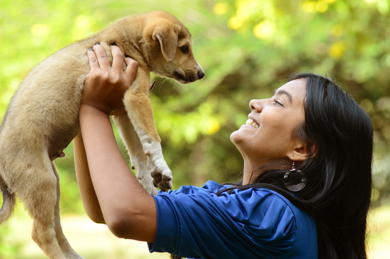 Cães e gatos poderão encontrar lares em feira de adoção no Parque do Coco; veja como participar