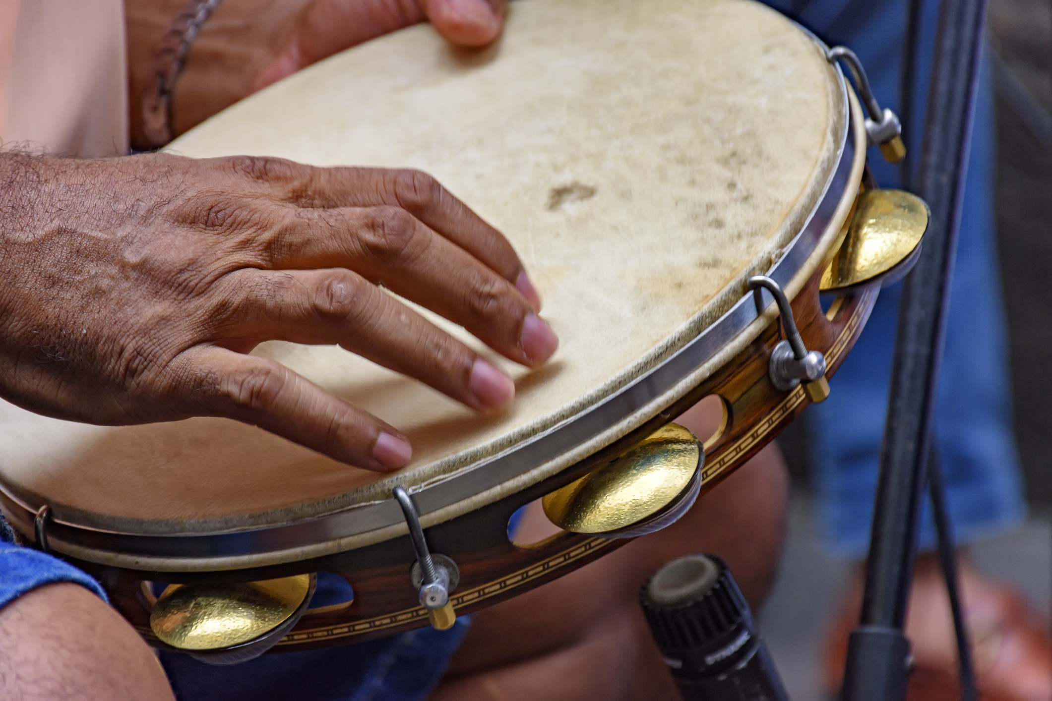Mercado dos Pinhões comemora dia do samba com mais de dez horas de música