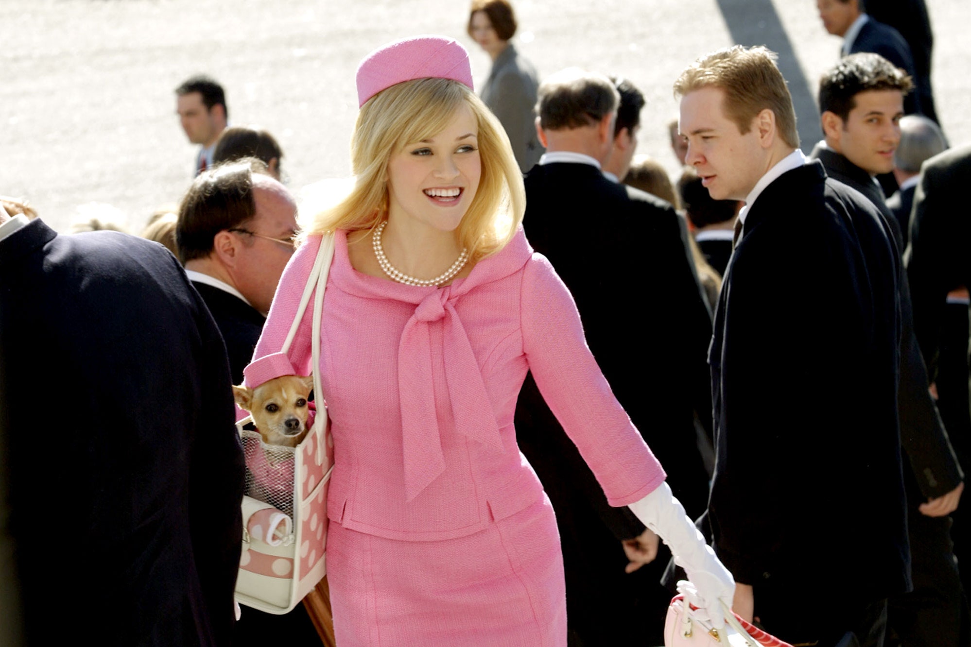 Legally Blonde Images