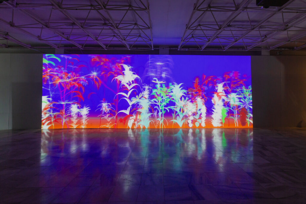 Pinacoteca do Ceará e Itaú Cultural apresentam exposição sobre arte e tecnologia em Fortaleza