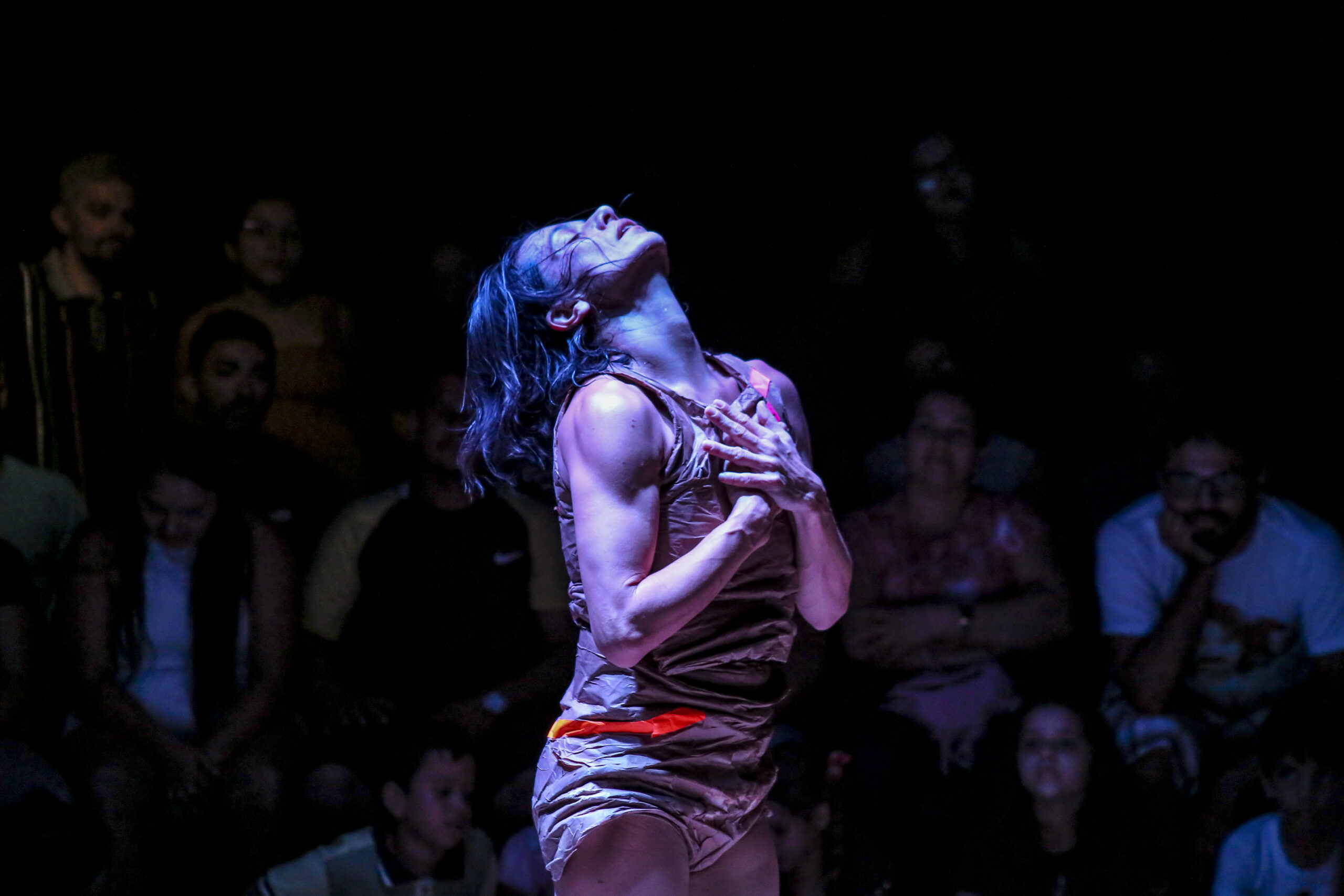 XV Bienal Internacional de Dança do Ceará levará artistas cearenses e brasileiros para o mundo