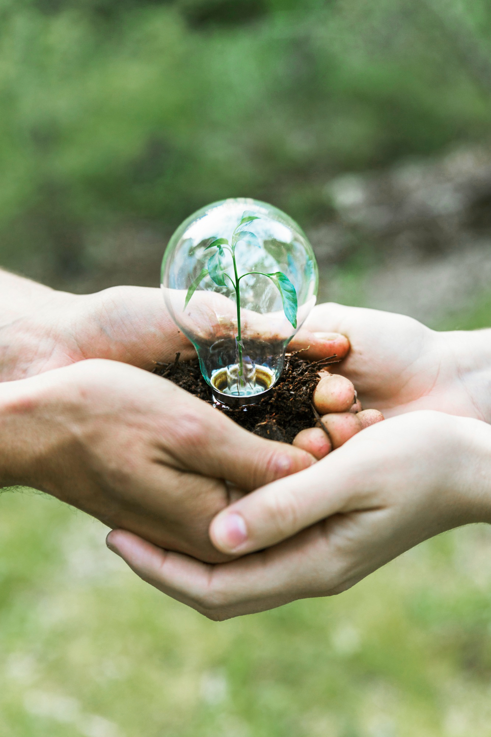 FIEC se destaca como única Federação brasileira aprovada no AL-INVEST Verde